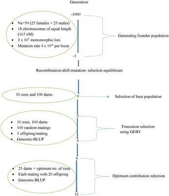 Controlling Coancestry and Thereby Future Inbreeding by Optimum-Contribution Selection Using Alternative Genomic-Relationship Matrices